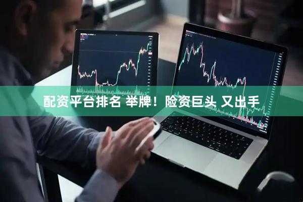 配资平台排名 举牌！险资巨头 又出手